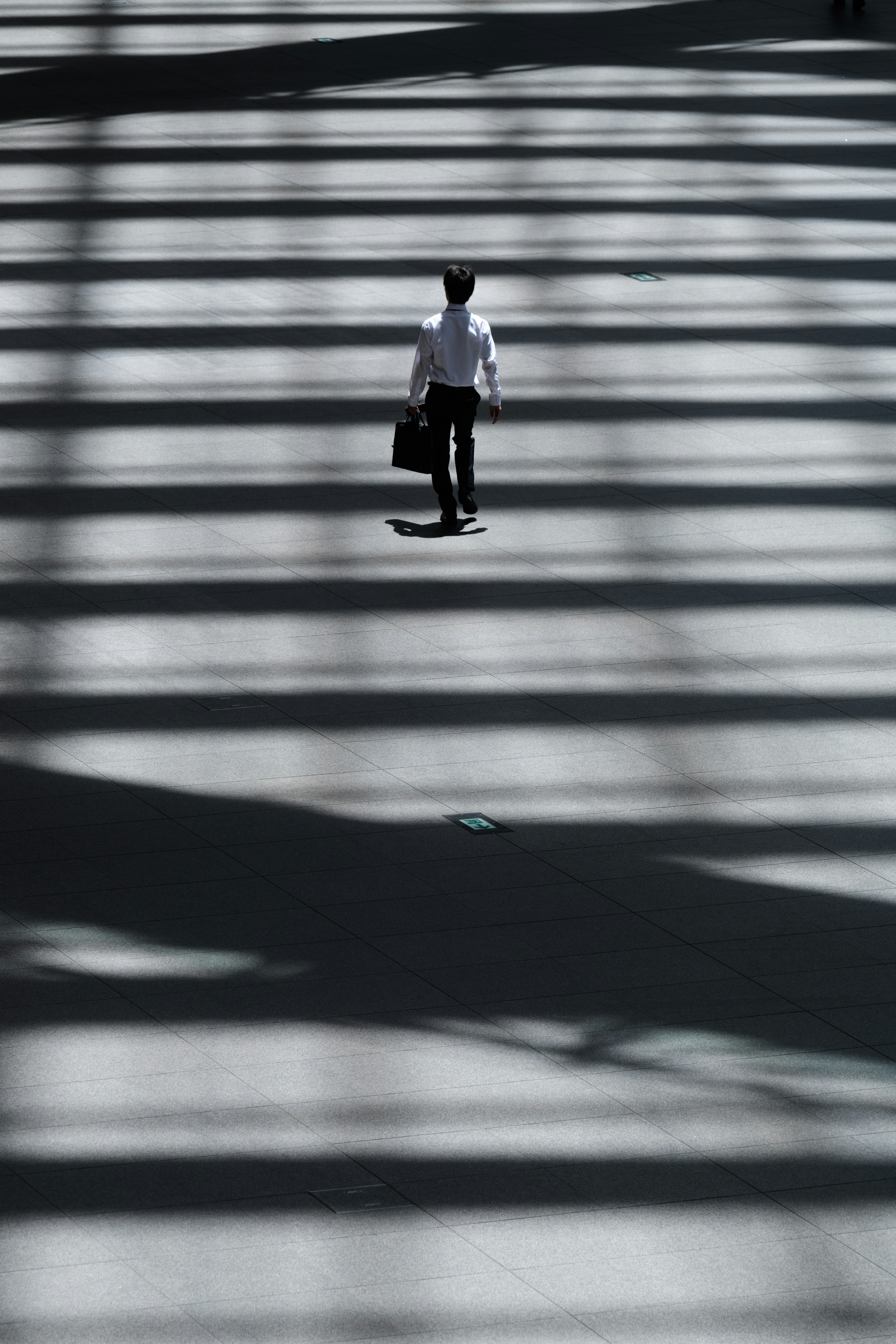 Executive movement through light and shadow